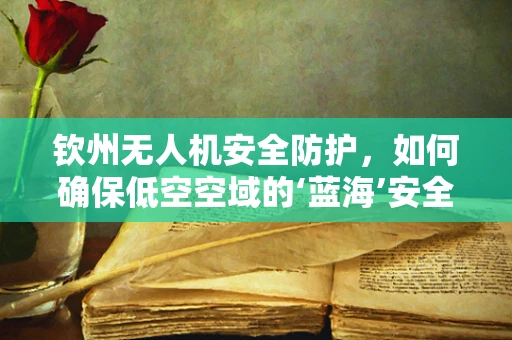 钦州无人机安全防护，如何确保低空空域的‘蓝海’安全？