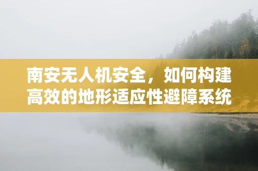 南安无人机安全，如何构建高效的地形适应性避障系统？