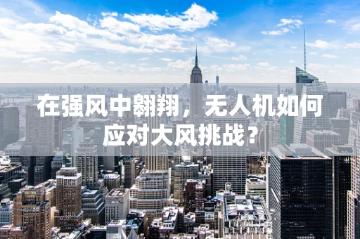 在强风中翱翔，无人机如何应对大风挑战？