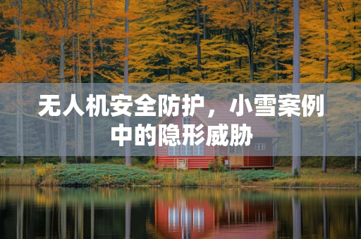 无人机安全防护，小雪案例中的隐形威胁