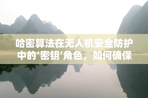 哈密算法在无人机安全防护中的‘密钥’角色，如何确保数据传输的不可破解性？