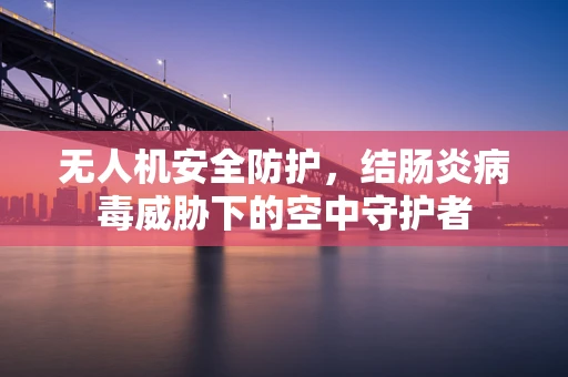无人机安全防护，结肠炎病毒威胁下的空中守护者