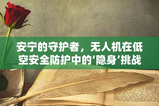 安宁的守护者，无人机在低空安全防护中的‘隐身’挑战