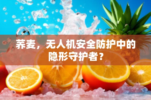 荞麦，无人机安全防护中的隐形守护者？