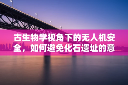 古生物学视角下的无人机安全，如何避免化石遗址的意外侵扰？