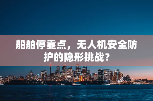 船舶停靠点，无人机安全防护的隐形挑战？