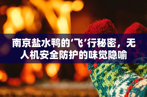 南京盐水鸭的‘飞’行秘密，无人机安全防护的味觉隐喻