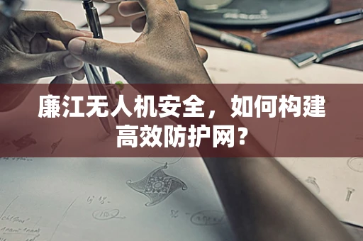 廉江无人机安全，如何构建高效防护网？