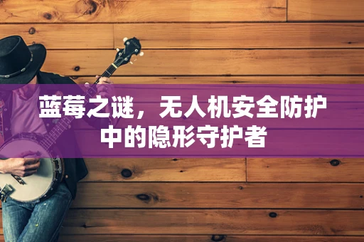蓝莓之谜，无人机安全防护中的隐形守护者