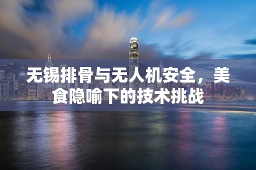无锡排骨与无人机安全，美食隐喻下的技术挑战