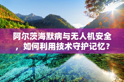 阿尔茨海默病与无人机安全，如何利用技术守护记忆？