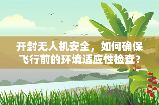 开封无人机安全，如何确保飞行前的环境适应性检查？