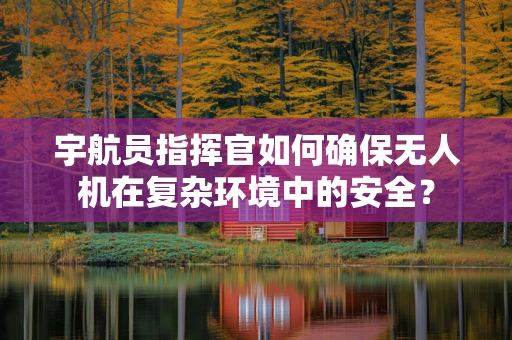 宇航员指挥官如何确保无人机在复杂环境中的安全？