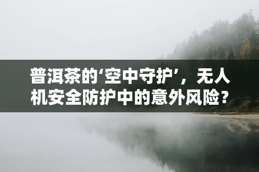 普洱茶的‘空中守护’，无人机安全防护中的意外风险？