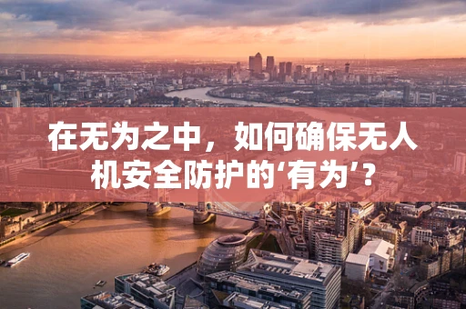 在无为之中，如何确保无人机安全防护的‘有为’？