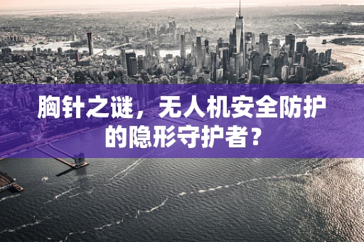 胸针之谜，无人机安全防护的隐形守护者？