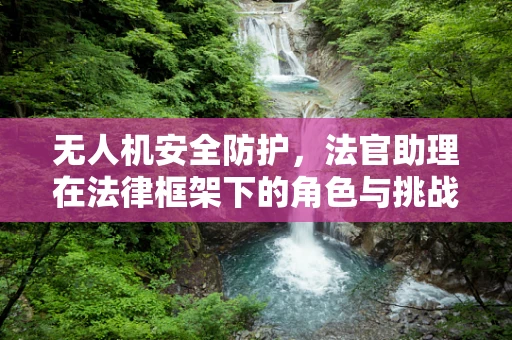 无人机安全防护，法官助理在法律框架下的角色与挑战