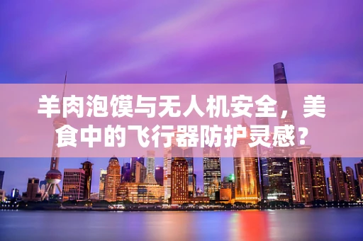 羊肉泡馍与无人机安全，美食中的飞行器防护灵感？
