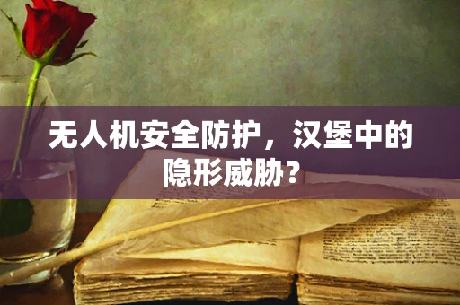 无人机安全防护，汉堡中的隐形威胁？
