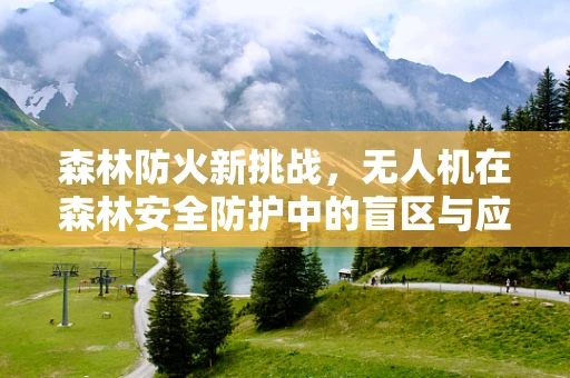 森林防火新挑战，无人机在森林安全防护中的盲区与应对策略