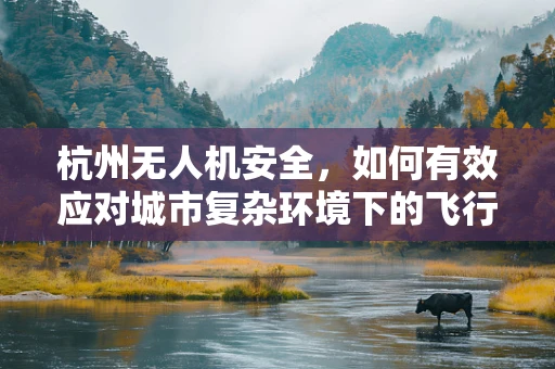 杭州无人机安全，如何有效应对城市复杂环境下的飞行挑战？