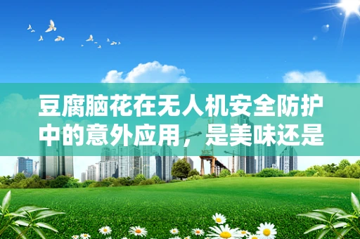 豆腐脑花在无人机安全防护中的意外应用，是美味还是隐患？