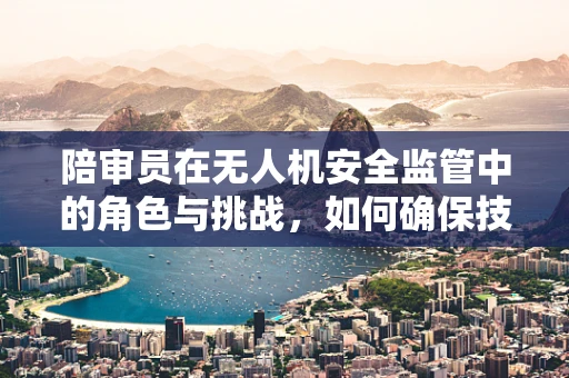 陪审员在无人机安全监管中的角色与挑战，如何确保技术与人性的双重安全？