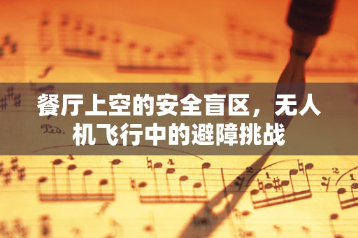 餐厅上空的安全盲区，无人机飞行中的避障挑战