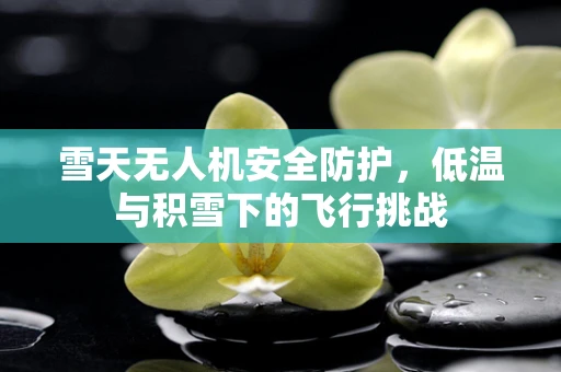 雪天无人机安全防护，低温与积雪下的飞行挑战