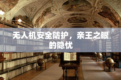 无人机安全防护，亲王之眼的隐忧