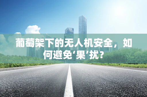 葡萄架下的无人机安全，如何避免‘果’扰？