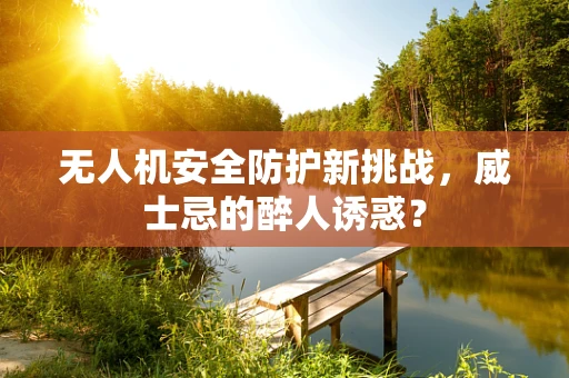 无人机安全防护新挑战，威士忌的醉人诱惑？