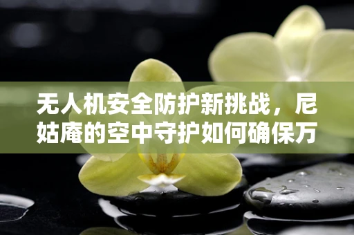 无人机安全防护新挑战，尼姑庵的空中守护如何确保万无一失？