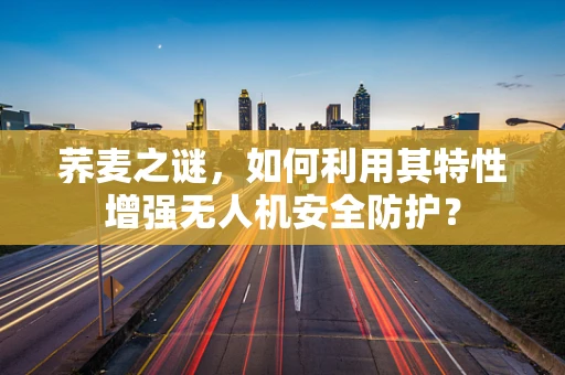 荞麦之谜，如何利用其特性增强无人机安全防护？