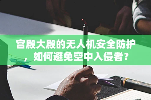 宫殿大殿的无人机安全防护，如何避免空中入侵者？