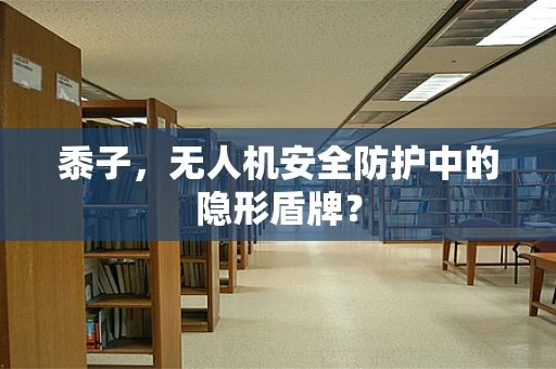 黍子，无人机安全防护中的隐形盾牌？