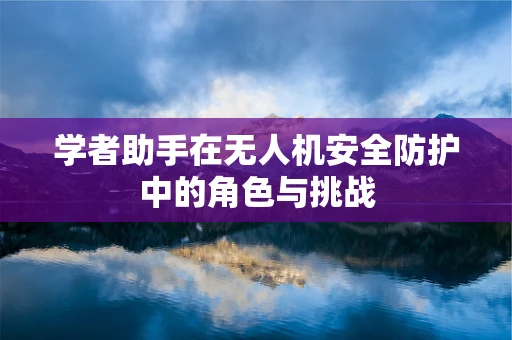 学者助手在无人机安全防护中的角色与挑战