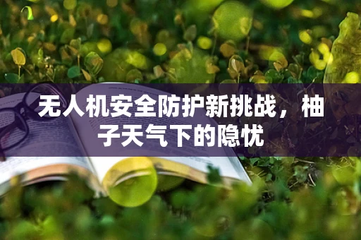 无人机安全防护新挑战，柚子天气下的隐忧
