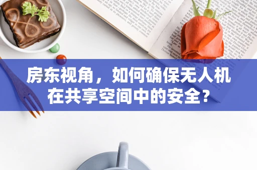 房东视角，如何确保无人机在共享空间中的安全？