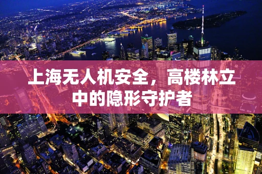 上海无人机安全，高楼林立中的隐形守护者