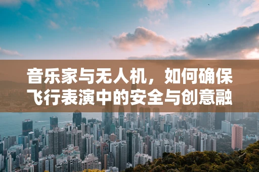 音乐家与无人机，如何确保飞行表演中的安全与创意融合？