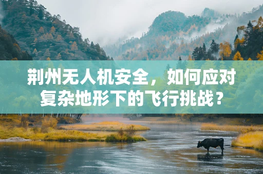 荆州无人机安全，如何应对复杂地形下的飞行挑战？