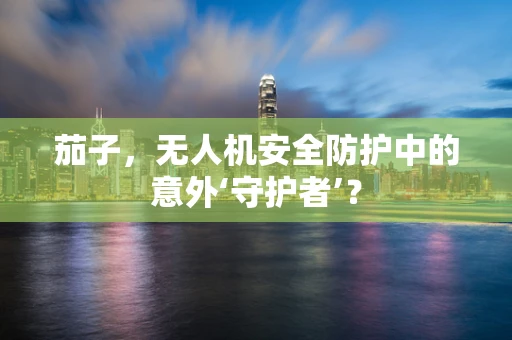 茄子，无人机安全防护中的意外‘守护者’？