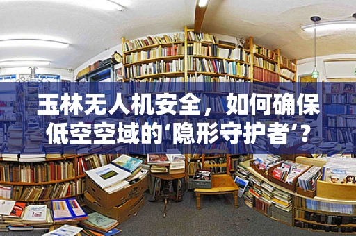 玉林无人机安全，如何确保低空空域的‘隐形守护者’？