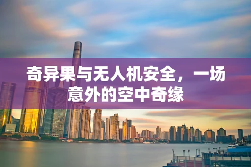 奇异果与无人机安全，一场意外的空中奇缘