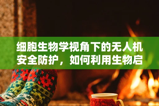 细胞生物学视角下的无人机安全防护，如何利用生物启发的策略？