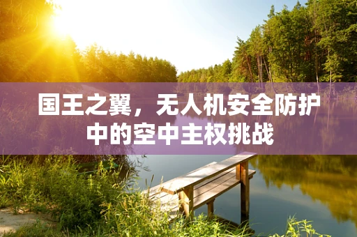 国王之翼，无人机安全防护中的空中主权挑战