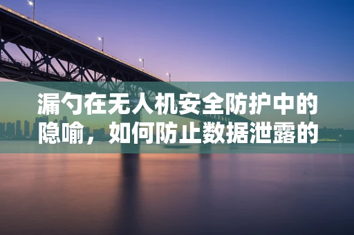 漏勺在无人机安全防护中的隐喻，如何防止数据泄露的‘小洞’？