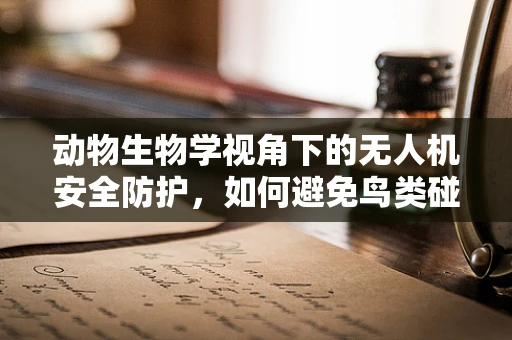 动物生物学视角下的无人机安全防护，如何避免鸟类碰撞？