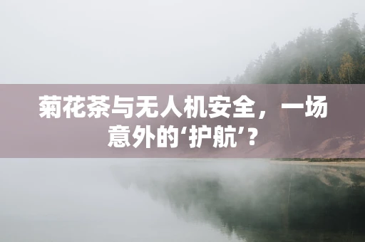 菊花茶与无人机安全，一场意外的‘护航’？